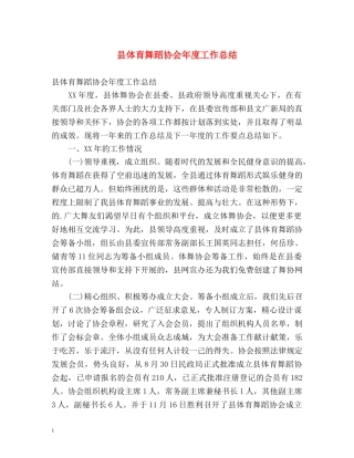 县体育舞蹈协会年度工作总结 