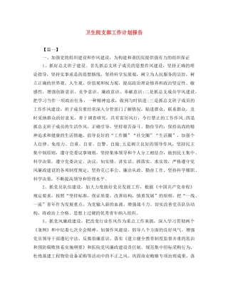 卫生院支部工作计划报告 