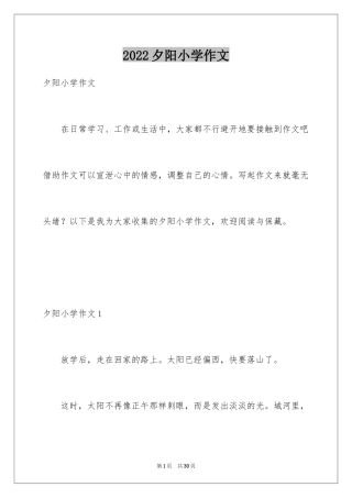 2024夕阳小学作文