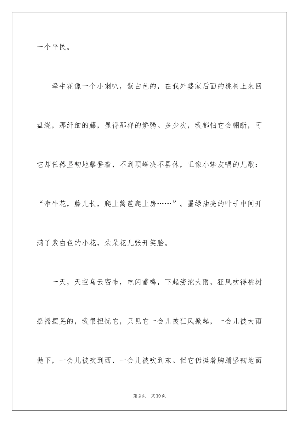 2024写状物作文300字_64_第2页