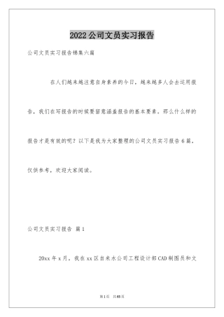 2024公司文员实习报告_9