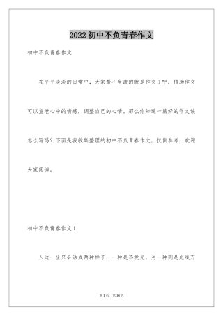 2024初中不负青春作文