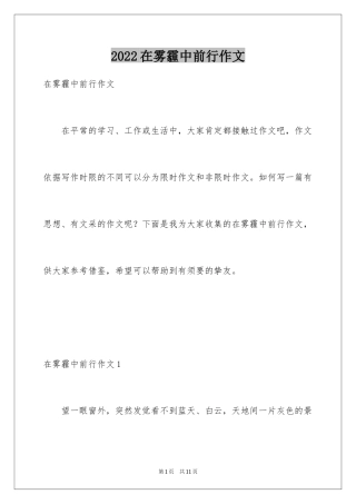 2024在雾霾中前行作文