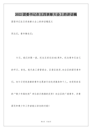 2024团委书记在五四表彰大会上的讲话稿