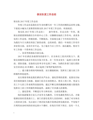 保安队度工作总结 