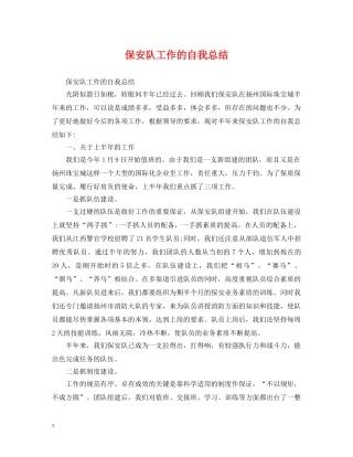 保安队工作的自我总结 