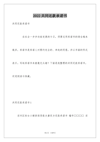 2024共同还款承诺书_29