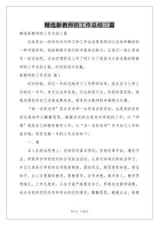 新教师的工作参考总结三篇