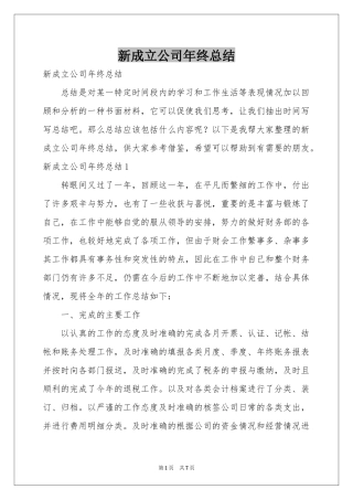 新成立公司年终参考总结