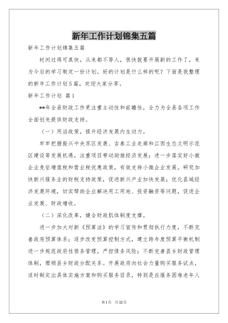 新年工作参考计划锦集五篇