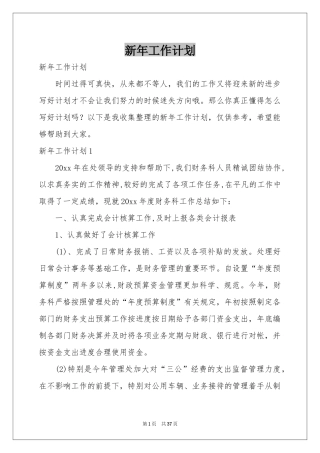 新年工作参考计划