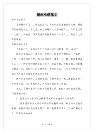 新年小学作文