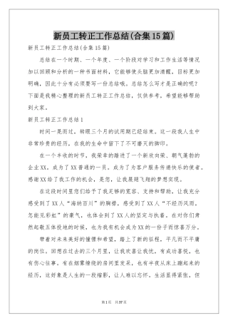 新员工转正工作参考总结(合集15篇)