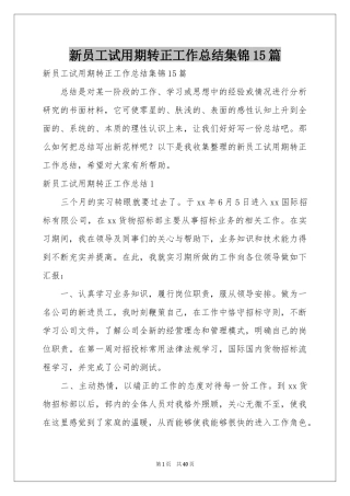 新员工试用期转正工作参考总结集锦15篇