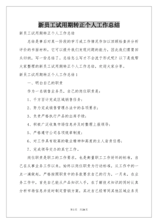 新员工试用期转正个人工作参考总结