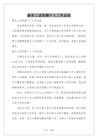 新员工试用期个人工作参考总结