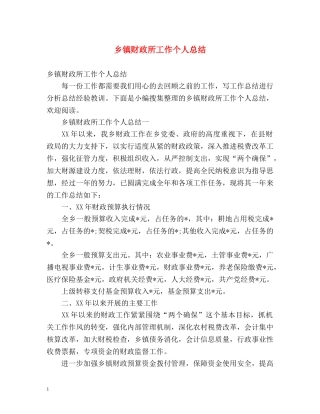 乡镇财政所工作个人总结 