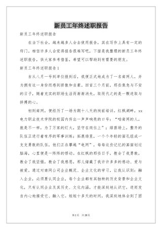 新员工年终述职报告