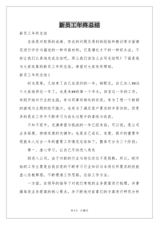 新员工年终参考总结