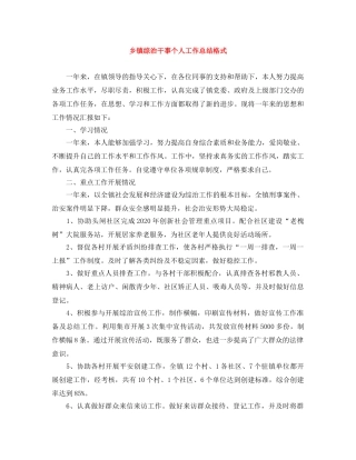乡镇综治干事个人工作总结格式 