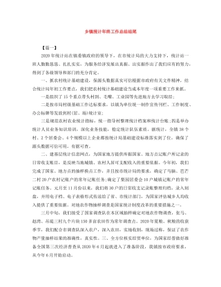 乡镇统计年终工作总结结尾 