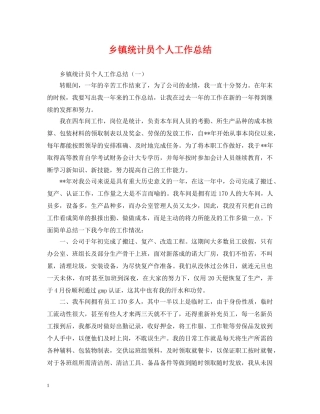 乡镇统计员个人工作总结2 