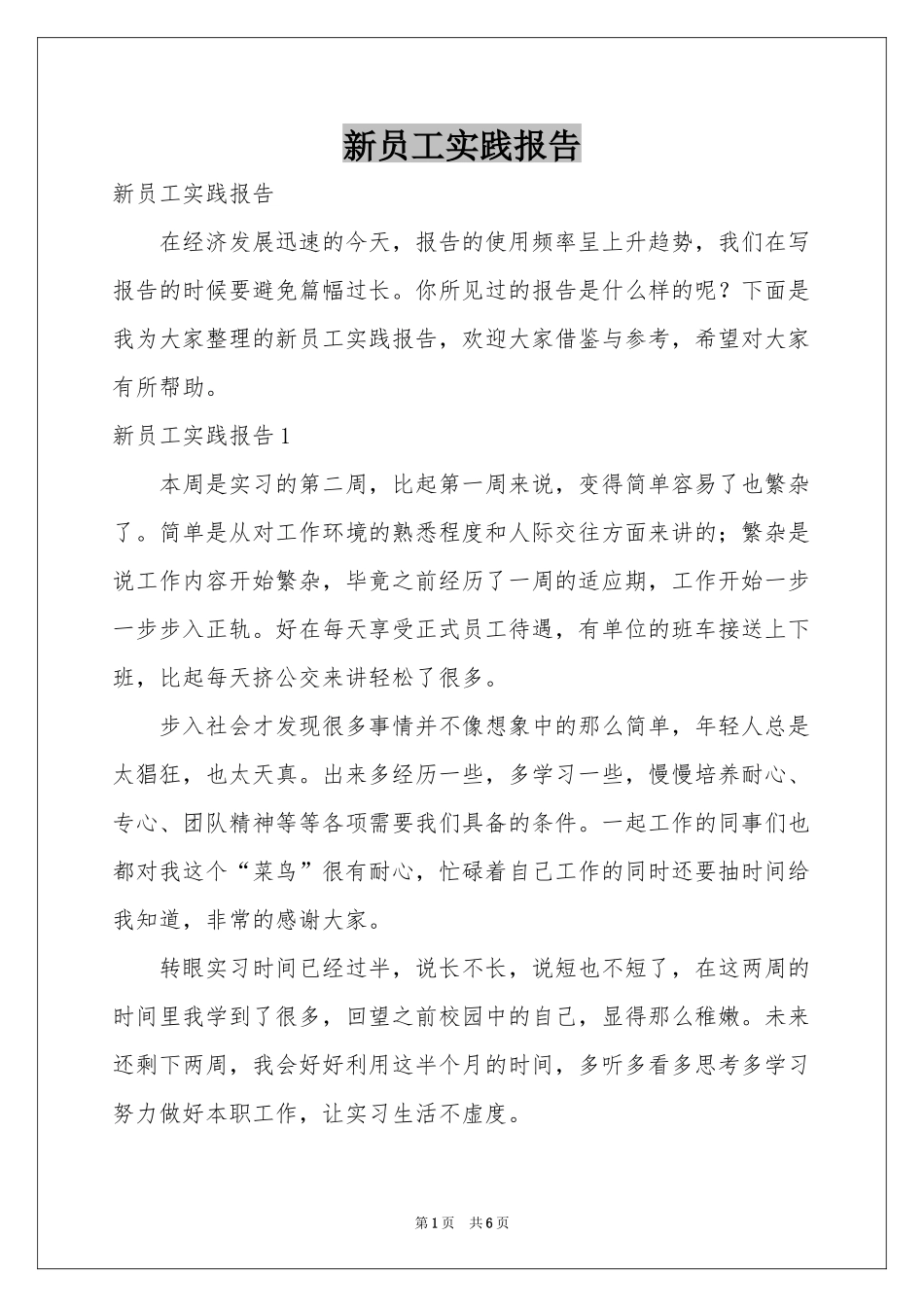 新员工实践报告_第1页