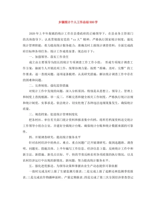 乡镇统计个人工作总结900字 