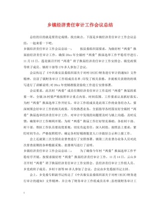 乡镇经济责任审计工作会议总结 