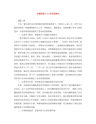 乡镇纪委个人工作总结格式 