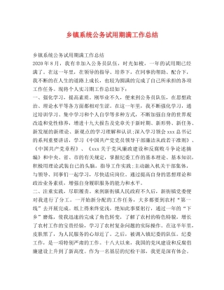 乡镇系统公务试用期满工作总结 