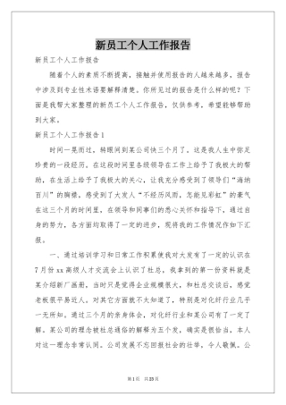 新员工个人工作报告