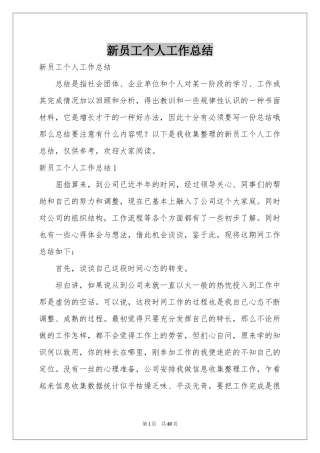 新员工个人工作参考总结
