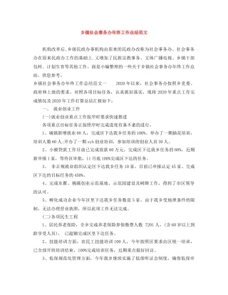 乡镇社会事务办年终工作总结范文 