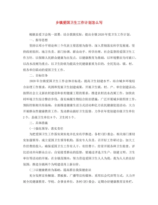 乡镇爱国卫生工作计划怎么写 