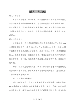 新人工作参考总结