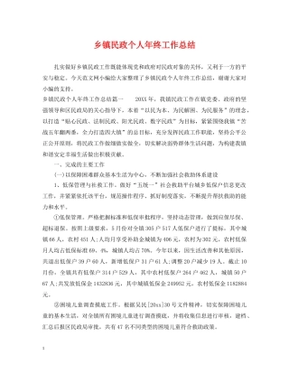 乡镇民政个人年终工作总结 