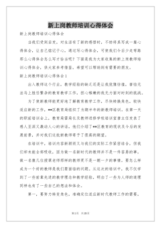 新上岗教师培训体会心得