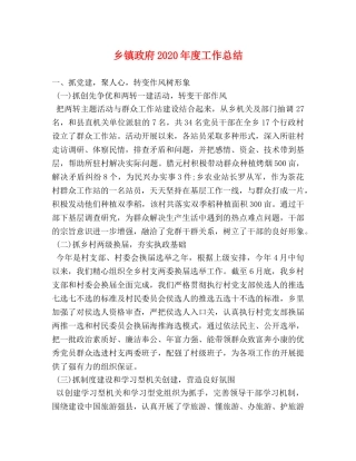 乡镇政府2024年度工作总结 