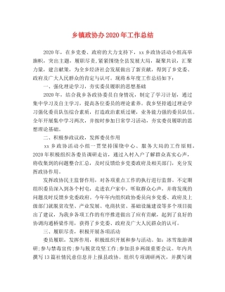 乡镇政协办2024年工作总结 
