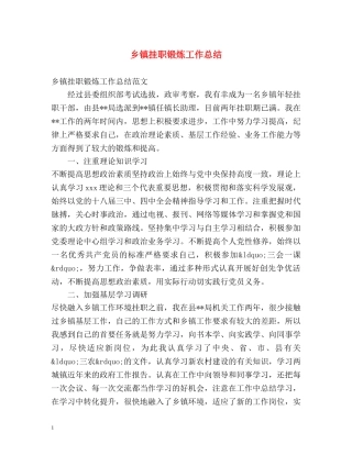 乡镇挂职锻炼工作总结 