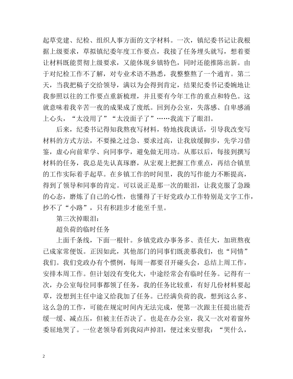 乡镇干部工作总结2 _第2页