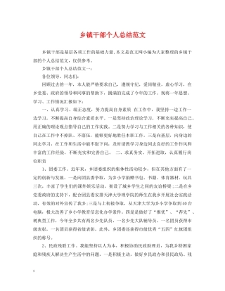 乡镇干部个人总结范文 