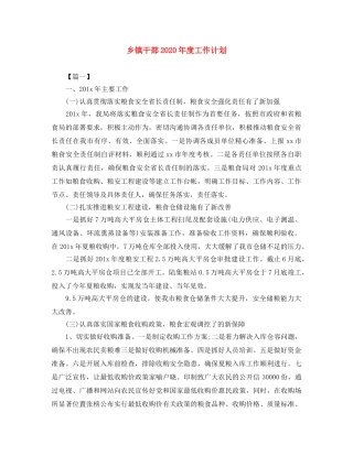 乡镇干部2024年度工作计划 