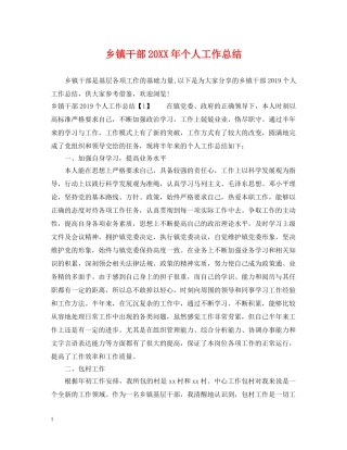 乡镇干部20XX年个人工作总结 