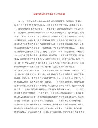 乡镇干部2024年下半年个人工作计划 