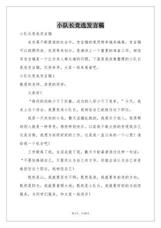 小队长竞选发言稿