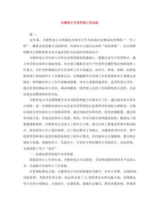 乡镇审计专员年度工作总结 