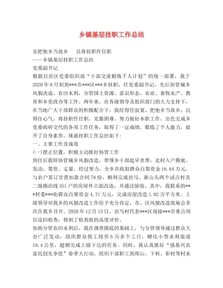 乡镇基层挂职工作总结 