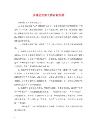 乡镇团支部工作计划范例 